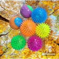 Image 5 of Squeaky Ball Toys