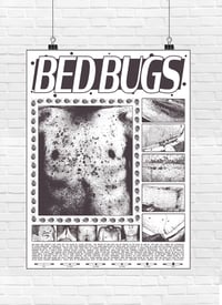 Image 2 of Bed Bugs - Information Poster