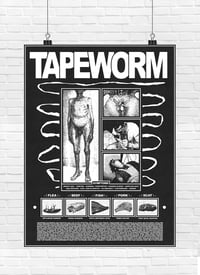 Image 2 of Tapeworm - Inforamtion Poster 