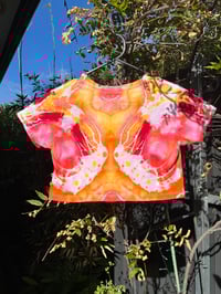Image 2 of Cosmic egg cropped girls size 5