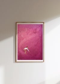 Image 3 of Life - Balance