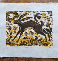 Image 1 of Summer Hare