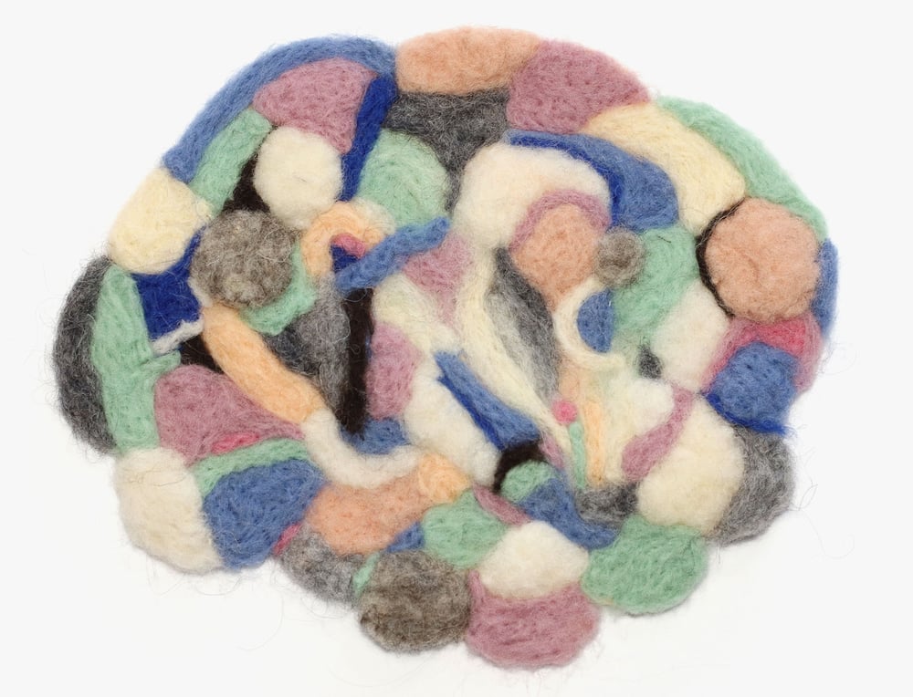 Image of FELTED WOOL ART
