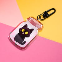 Image 3 of Pet in jar OUTLET