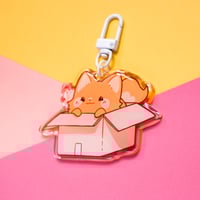 Image 2 of Pet in box OUTLET