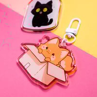 Image 4 of Pet in box OUTLET