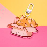 Image 1 of Pet in box OUTLET