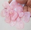 Image 1 of ForAlways Flower Earrings