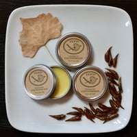 Image 1 of NEW! Wildcrafted Cottonwood Balm