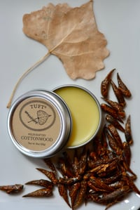 Image 3 of NEW! Wildcrafted Cottonwood Balm