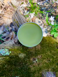 Image 1 of Green Healers’ Salve