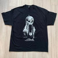 Image 1 of STARVED SKULL.