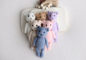 Image of Teddy