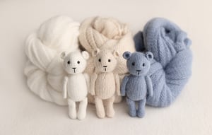 Image of Teddy
