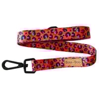Image 5 of Boss + Boo - Spotted Cheetah / Utopia Range