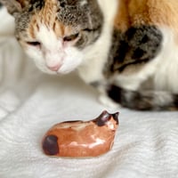 calico