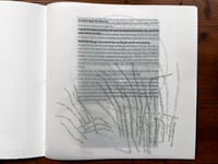 Image 4 of UnderCurrents