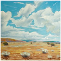 Image 1 of Desert landscape Jan 2024