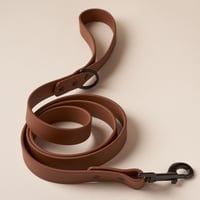 Laisse en biothane marron