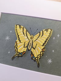 Image 3 of Cut paper swallowtail butterfly