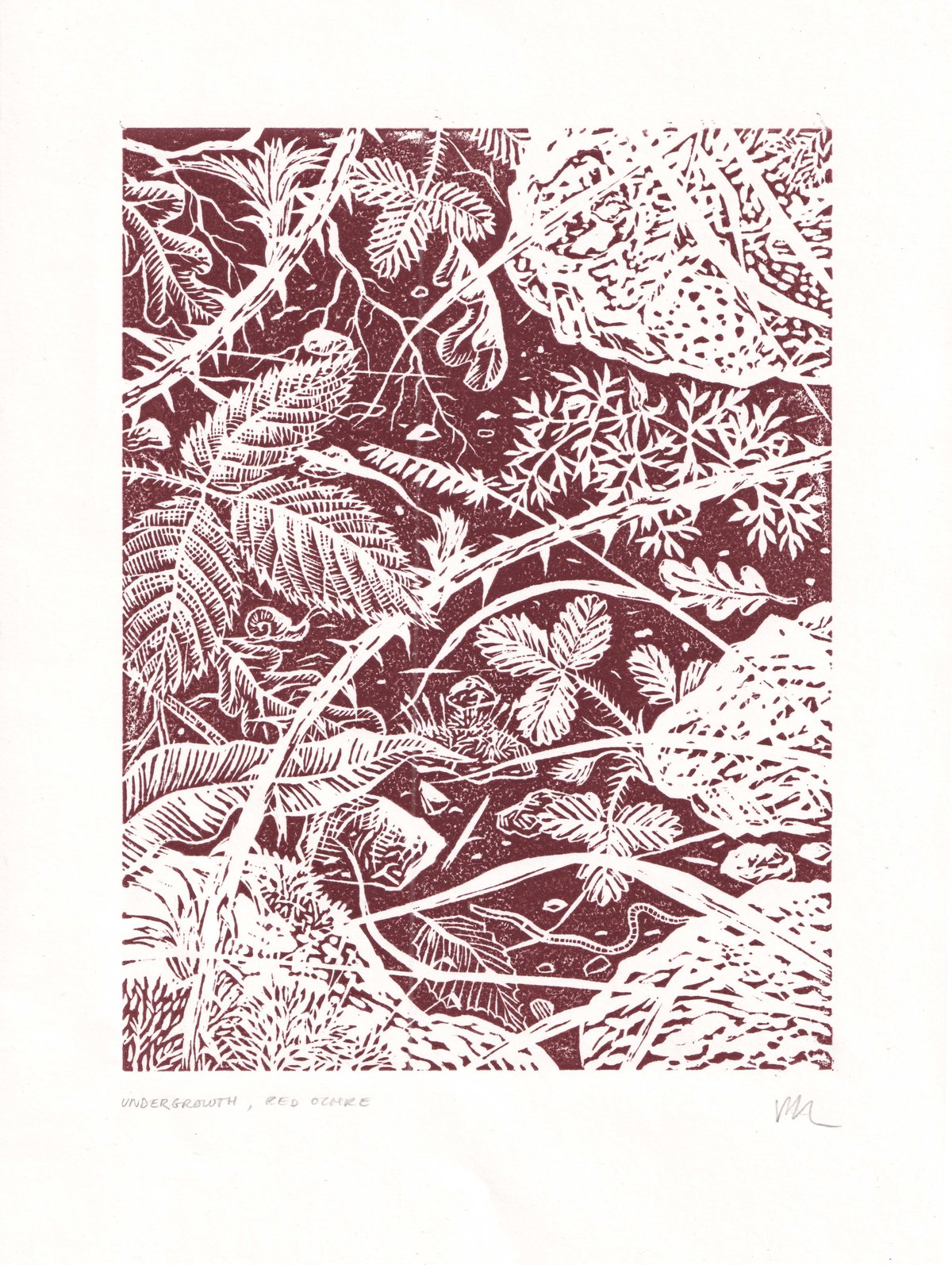 Image of Undergrowth, Red Ochre