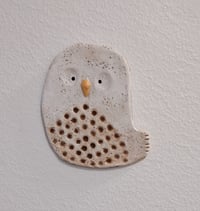 Image 2 of Owls