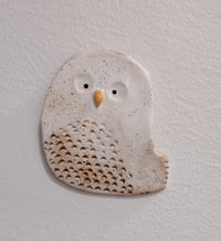 Image 3 of Owls