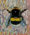 Image of "Bee still"