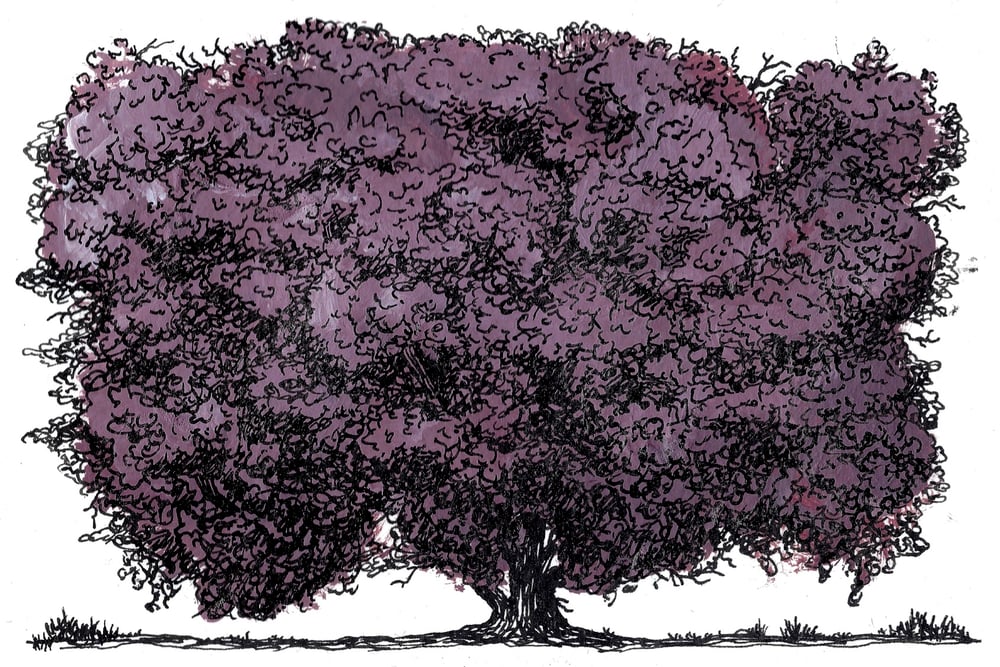 Image of Acrylink Tree 001