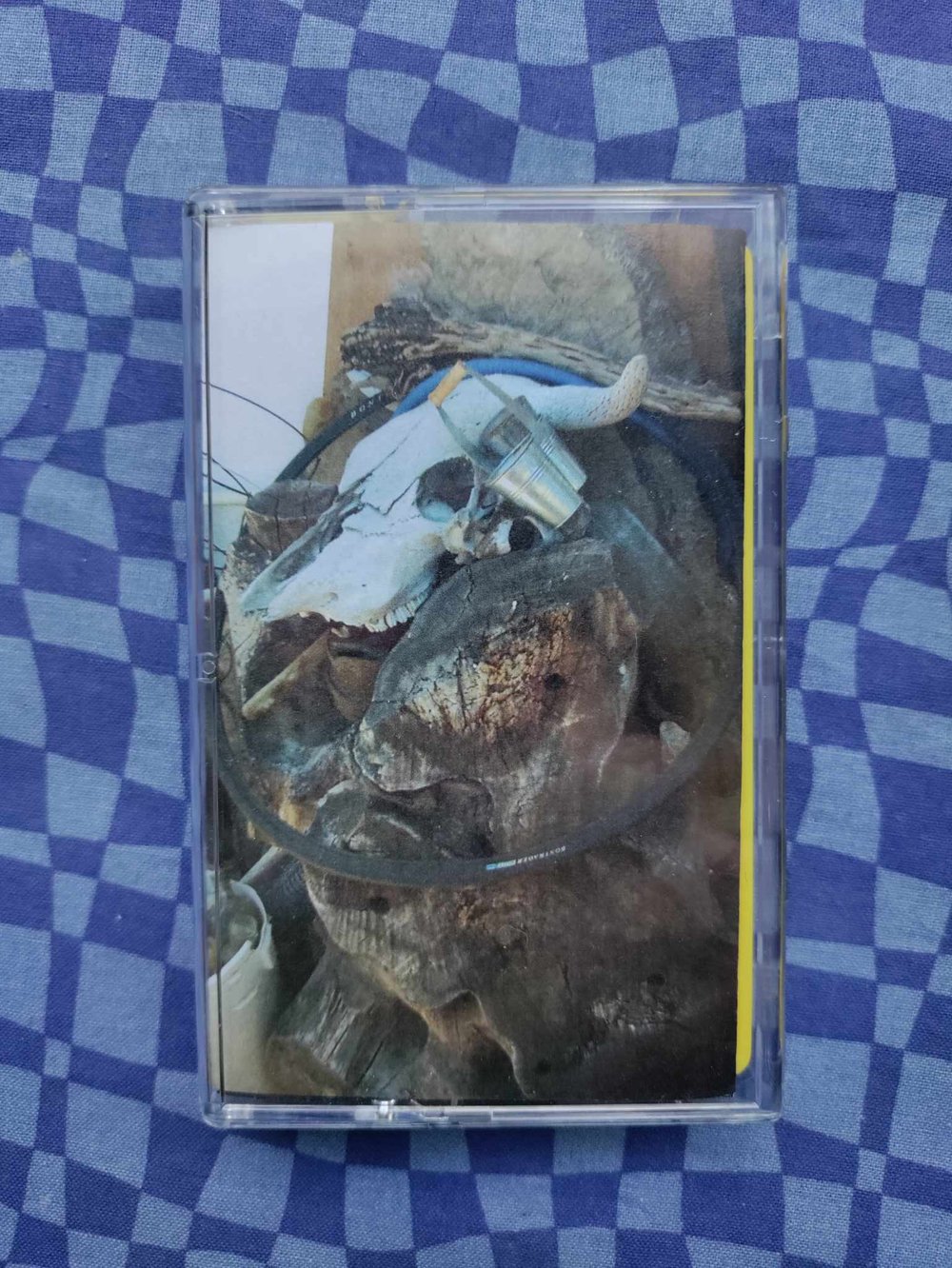 Image of CASUAL DISMEMBERMENT - Nej Tak