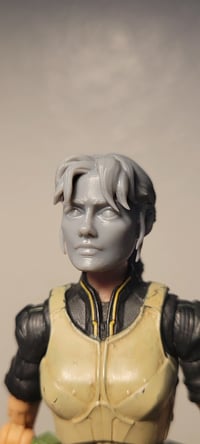 Image 1 of Fallout heads (including prime!)