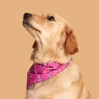 Image 2 of Bandana Réversible Rose et Turquoise