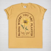 Image 1 of "Bloom Where You Are Planted" Vintage Wash Graphic Tee | Comfort Colors | 3 Options 