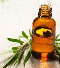 Tea Tree Essential Oil - Add in