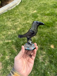 Image of Raven paper weight dry 