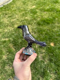 Image of Raven paper weight dry 