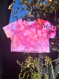 Image 1 of Scrunch girls cropped size 2