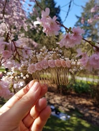 Image 5 of Hairpiece 7 | Sakura 2024