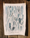 Banksia Leaves Premium Cotton Linen Tea Towel