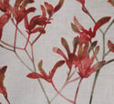 Kangaroo Paw Flame Premium Cotton Linen Tea Towel