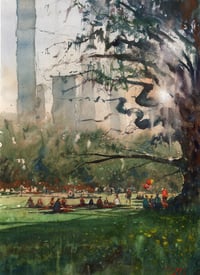 Sheep Meadow 