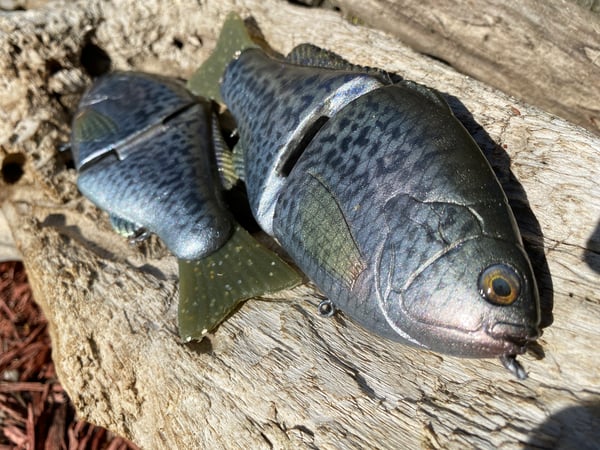 Image of 6” Xslowsink Ann (Slab)