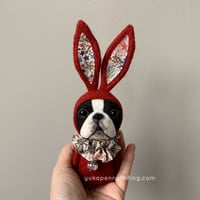 Image 4 of Boston Bunny Ornament - Red