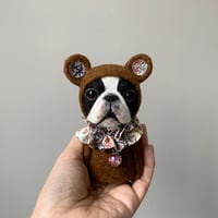 Image 4 of Boston Bear Ornament - Brown
