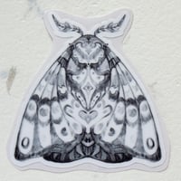 Image 2 of Ćmy / moths stickers