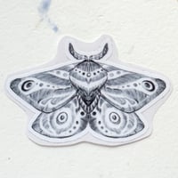 Image 5 of Ćmy / moths stickers