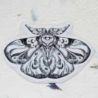 Image 4 of Ćmy / moths stickers