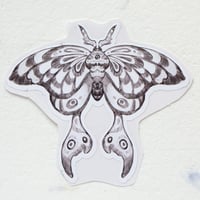 Image 3 of Ćmy / moths stickers