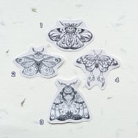 Image 1 of Ćmy / moths stickers
