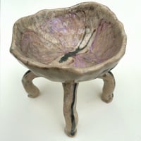 Image 1 of motyl czworonóg 